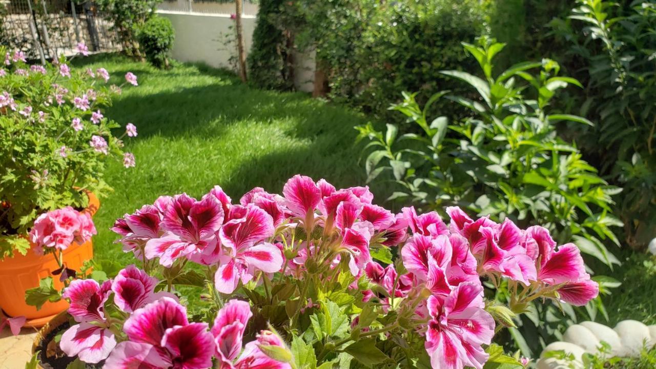 Vila Renato Ksamil Esterno foto