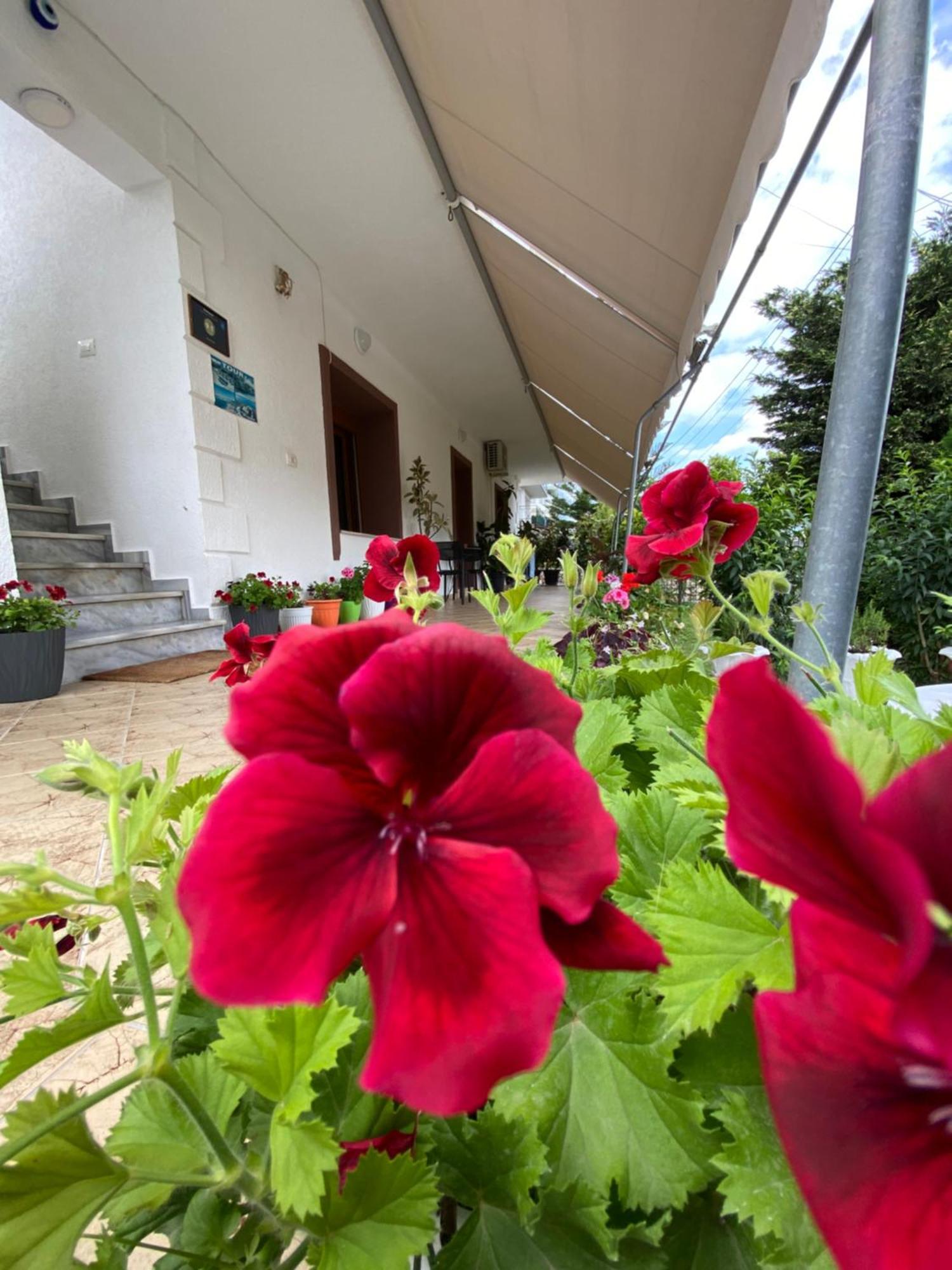 Vila Renato Ksamil Esterno foto